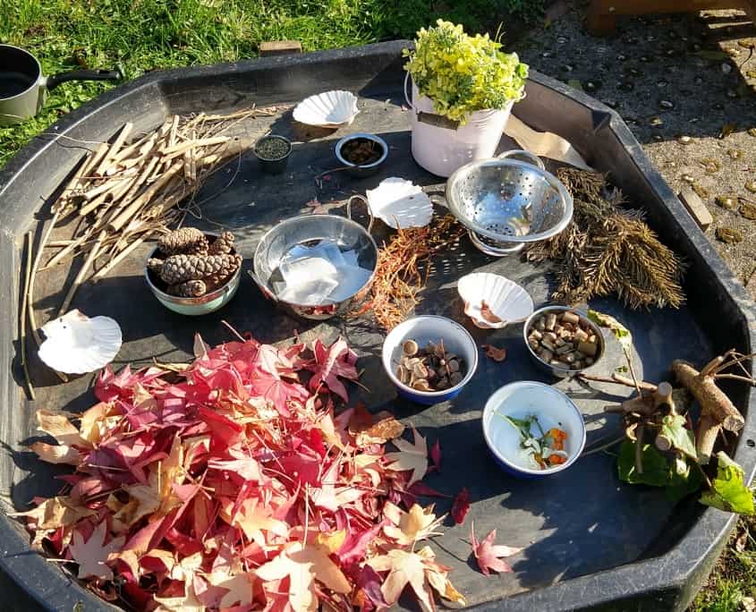 a tray full of Nature