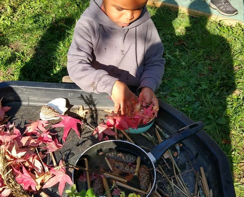 child playing with leaves