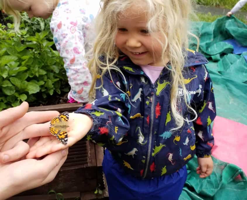 child holding butterfly
